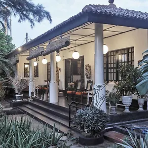 https://the-icebear-guesthouse.negombohotels.net